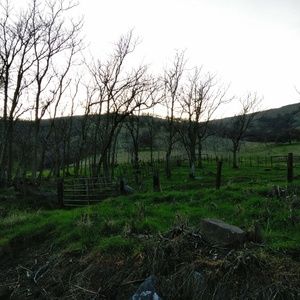 Meet your Posher, Steven